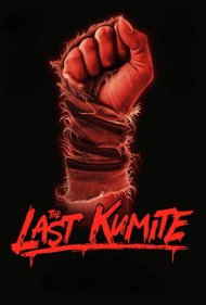 دانلود دوبله فارسی فیلم The Last Kumite سال 2024 - آخرین مبارزه
