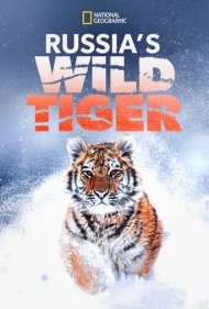 دانلود فیلم Russia's Wild Tiger سال 2022 - ببر وحشی روسیه