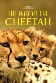 دانلود فیلم The Way of the Cheetah سال 2022 - راه و رسم یوزپلنگ