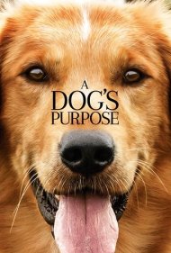 دانلود فیلم A Dog's Purpose سال 2017 - هدف سگ