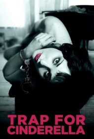دانلود فیلم Trap for Cinderella سال 2013 - تلهای برای سیندرلا