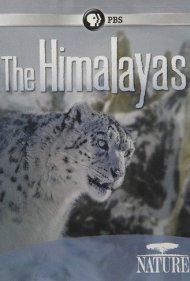 دانلود فیلم The Himalayas سال 2011 - هیمالیا
