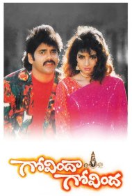 Govindha Govindha 1993
