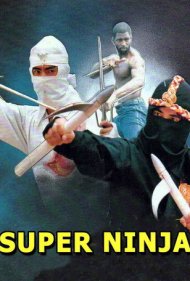 دانلود فیلم The Super Ninja سال 1984 - ابر نینجا