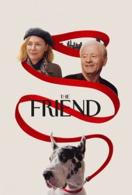 دانلود دوبله فارسی فیلم The Friend سال 2024 - دوست