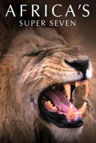 دانلود فیلم Africa's Super Seven سال 2005 - هفت ابرقدرت آفریقا
