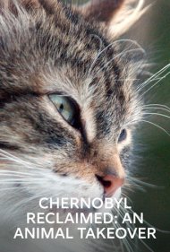 دانلود فیلم Chernobyl Reclaimed: An Animal Takeover سال 2007 - چرنوبیل بازیافته: تسخیر حیوانات