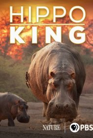 دانلود فیلم Hippo King سال 2022 - پادشاه اسبآبی