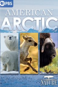 دانلود فیلم American Arctic سال 2022 - آرکتیک آمریکایی