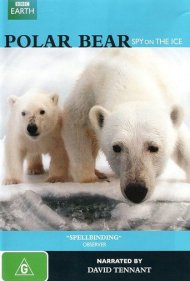 دانلود فیلم Polar Bear: Spy on the Ice سال 2011 - خرس قطبی: جاسوسی روی یخ