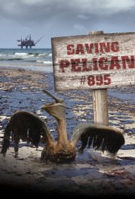 دانلود فیلم Saving Pelican 895 سال 2011 - نجات پلیکان ۸۹۵