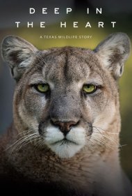 دانلود فیلم Deep in the Heart: A Texas Wildlife Story سال 2022 - در اعماق قلب: داستان حیات وحش تگزاس