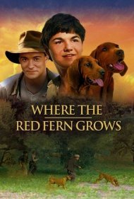 دانلود فیلم Where the Red Fern Grows سال 2003 - جایی که سرخس قرمز می‌روید