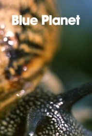 دانلود فیلم The Blue Planet سال 1982 - سیاره آبی