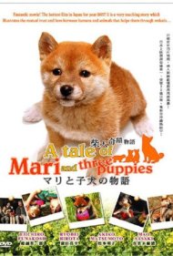 دانلود فیلم A Tale of Mari and Three Puppies سال 2007 - داستان ماری و سه تولهسگ