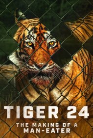 دانلود فیلم Tiger 24 سال 2022 - ببر ۲۴