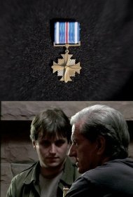 Distinguished Flying Cross 2011