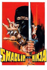 دانلود فیلم Shaolin vs. Ninja سال 1983 - شائولین در برابر نینجا