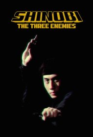 دانلود فیلم Shinobi no mono 8: The Three Enemies سال 1966 - شینوبی نو مونو ۸: سه دشمن