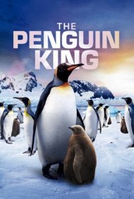 دانلود فیلم The Penguin King سال 2012 - پادشاه پنگوئنها