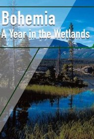 Bohemia: A Year in the Wetlands 2011