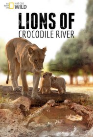 دانلود فیلم Lions of Crocodile River سال 2007 - شیرهای رودخانه کروکودیل