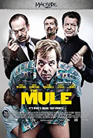 دانلود فیلم The Mule سال 2014 - قاطر