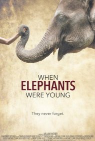 دانلود فیلم When Elephants Were Young سال 2016 - زمانی که فیلها جوان بودند