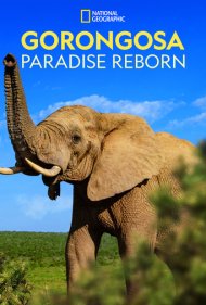 دانلود فیلم Gorongosa: Paradise Reborn سال 2022 - گورونگوسا: تولد دوباره بهشت