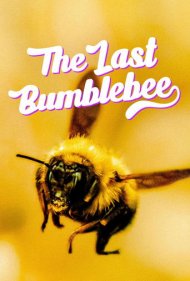 دانلود فیلم The Last Bumblebee سال 2024 - آخرین زنبور عسل