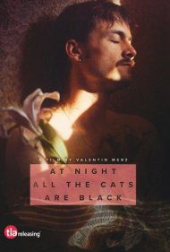 دانلود فیلم At Night All the Cats Are Black سال 2022 - شب‌هنگام همه گربه‌ها سیاه‌اند