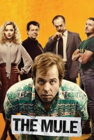 دانلود فیلم The Mule سال 2014 - قاطر