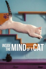 دانلود فیلم Inside the Mind of a Cat سال 2022 - درون ذهن یک گربه
