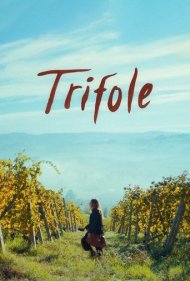 دانلود فیلم Trifole سال 2024 - تریفول