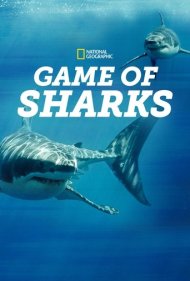 دانلود فیلم Game of Sharks سال 2022 - بازی کوسهها