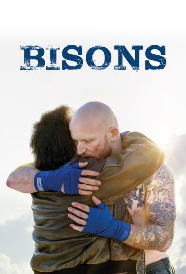 Bisons