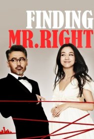 دانلود فیلم Finding Mr. Right سال 2013 - در جستجوی آقای درستکار