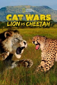 دانلود فیلم Cat Wars: Lion vs. Cheetah سال 2011 - نبرد گربه‌سانان: شیر در برابر یوزپلنگ