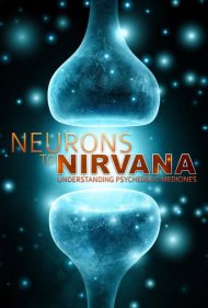 دانلود فیلم Neurons to Nirvana سال 2013 - از نورونها تا نیروانا