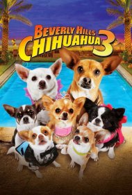 دانلود فیلم Beverly Hills Chihuahua 3: Viva la Fiesta! سال 2012 - چیواوای بورلی هیلز ۳: زنده باد جشن!