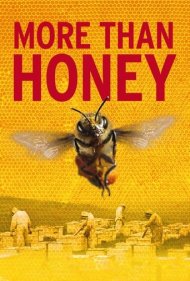 دانلود فیلم More Than Honey سال 2012 - بیش از عسل