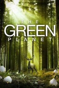 دانلود دوبله فارسی فیلم The Green Planet سال 2012