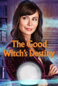 دانلود فیلم The Good Witch's Destiny سال 2013 - سرنوشت جادوگر خوب