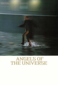 Angels of the Universe 2000