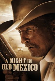 دانلود فیلم A Night in Old Mexico سال 2013 - شبی در مکزیک قدیمی