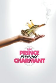 دانلود فیلم Un prince (presque) charmant سال 2013 - شاهزاده (تقریبا) جذاب