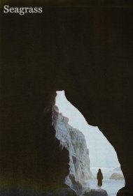 دانلود فیلم Seagrass سال 2023 - علف دریایی