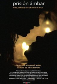 Prisión ámbar 2009