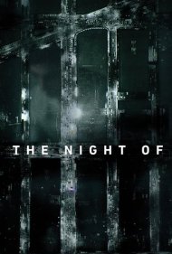 دانلود فیلم The Night Of سال 2016 - آن شب
