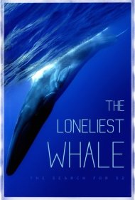 دانلود فیلم The Loneliest Whale: The Search for 52 سال 2021 - تنها‌ترین نهنگ: جستجو برای ۵۲